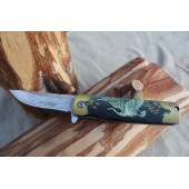 Liigendnuga luige pildiga